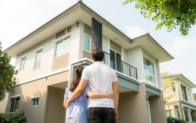 What Makes Knoxville Apartments Ideal for Pet Owners and Animal Lovers Across the City